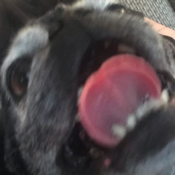 Meet your Posher, Janelle - Picture 1 of 1